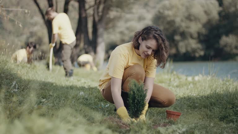 Best Soil Testing and Treatment  in Streator, IL